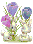 two baby white bunny rabbits playing flowers animated gif