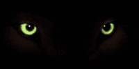 cat eyes.gif (10568 bytes)
