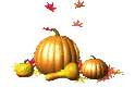 pumkins and gourds with falling leaves animated gif