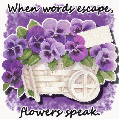 Flower Girl Picture Frame on When Words Escape  Flowers Speak Animated Gif