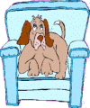 dog sits in favorite chair animated gif