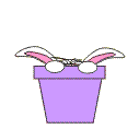 flowerpot bunny.gif (4295 bytes)