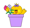 flowerpot chick.gif (7037 bytes)