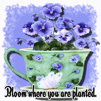 bloom where you are planted animated gif