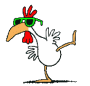 dancing chicken wearing sunglasses animated gif